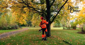 Qué es una podadora de altura y cómo elegir la mejor para tu jardín